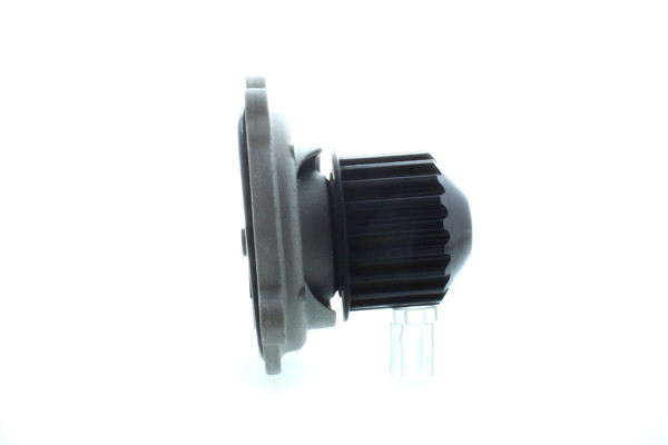 AISIN Wasserpumpe, Motorkühlung